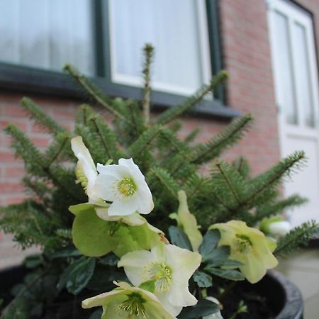 Landzicht Lägenhet Woubrugge Exteriör bild